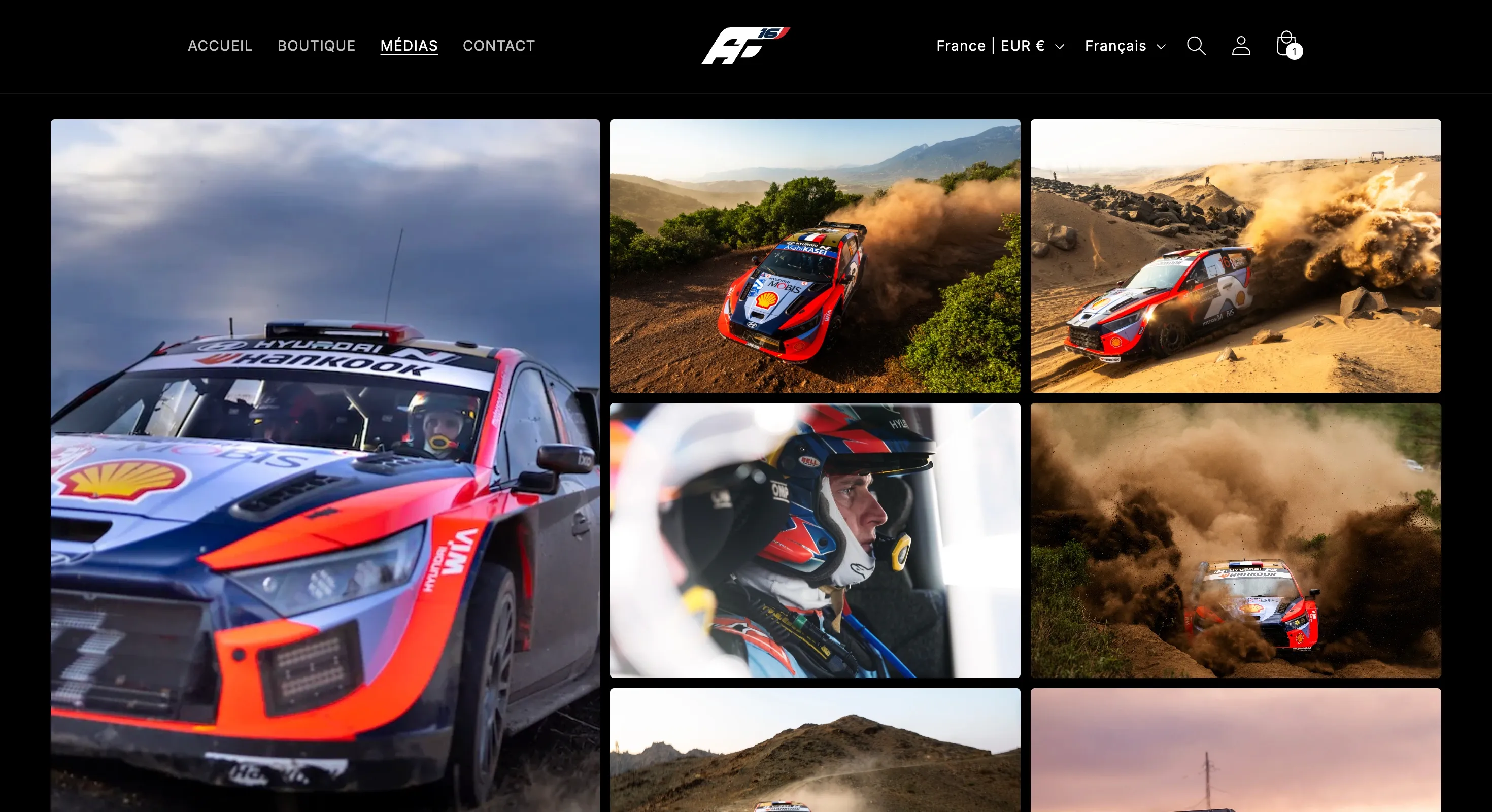 Adrien Fourmaux : aperçu du site